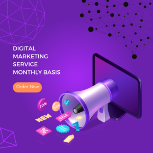 Digital Marketing Service Monthly Basis Brand Build